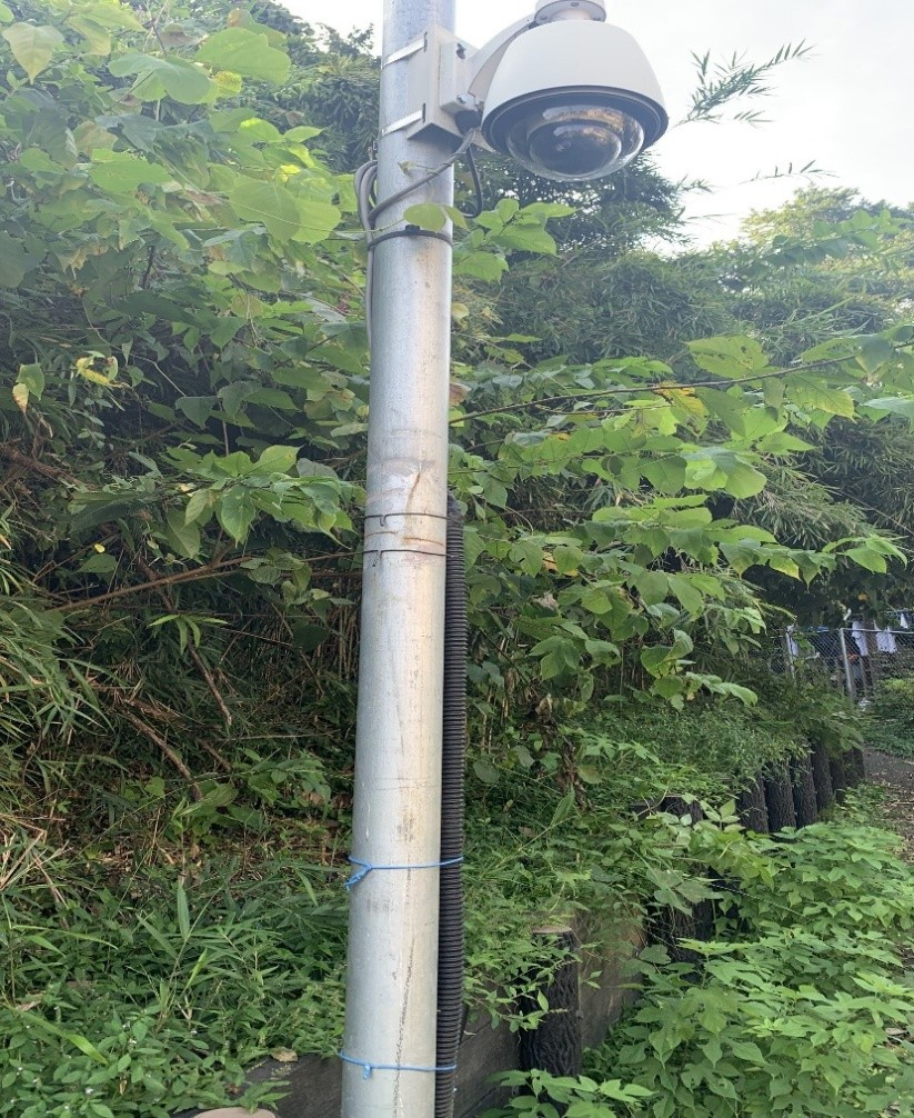 駐車場のポールに設置された屋外用PTZカメラ
