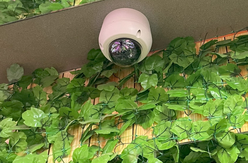 外周通路と出入口周辺を見渡せる位置に設置した防犯カメラ